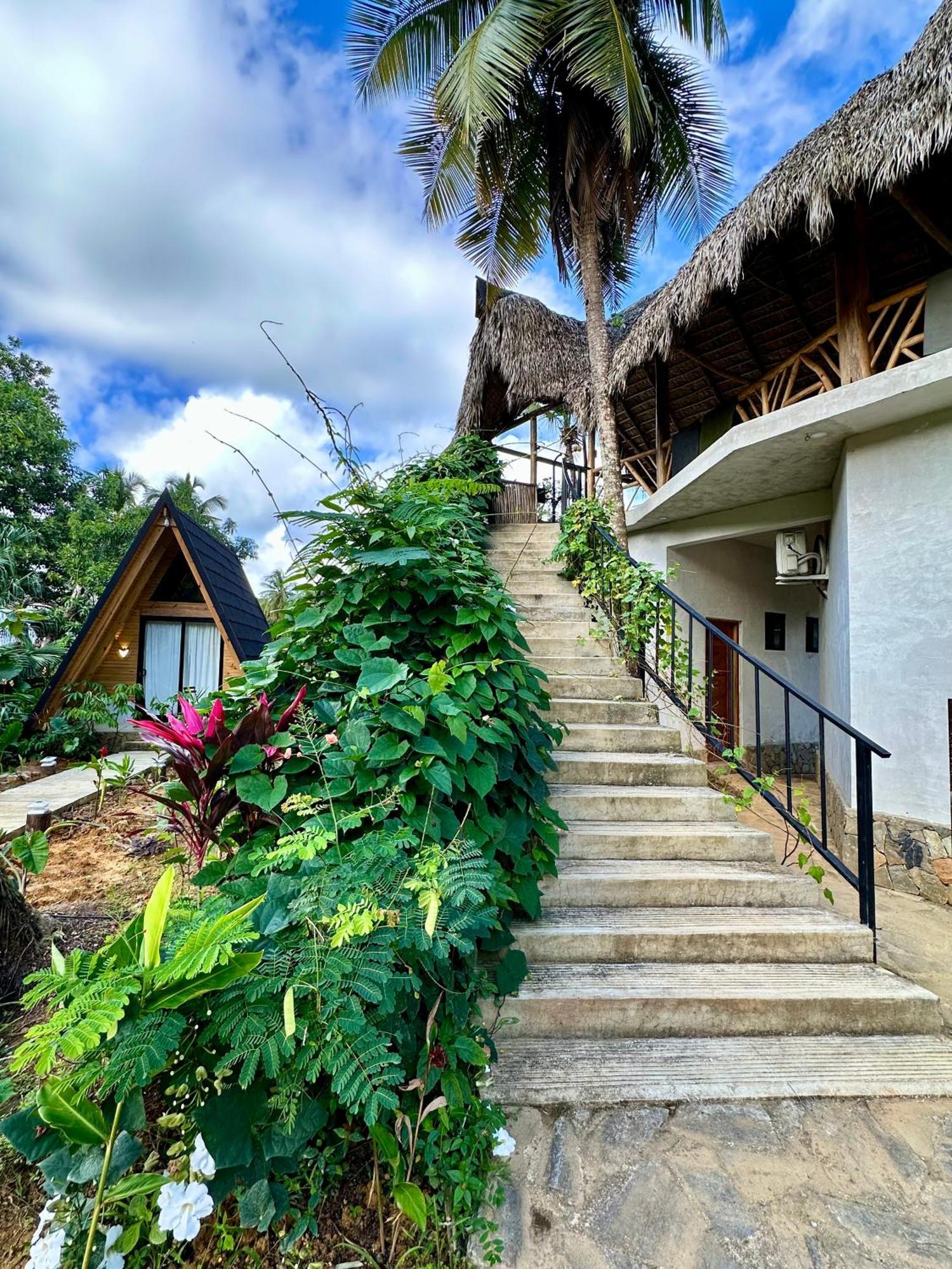 Leisy'S Garden Hostel & Rooms Samana Екстер'єр фото